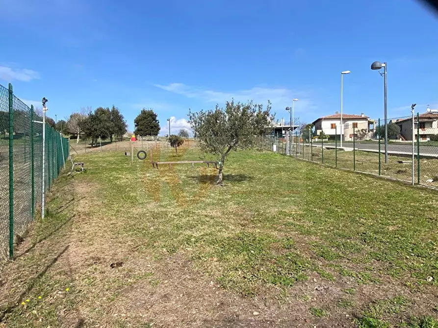 Immagine 17 di Terreno residenziale in vendita  in via Don Michele Piras a Florinas