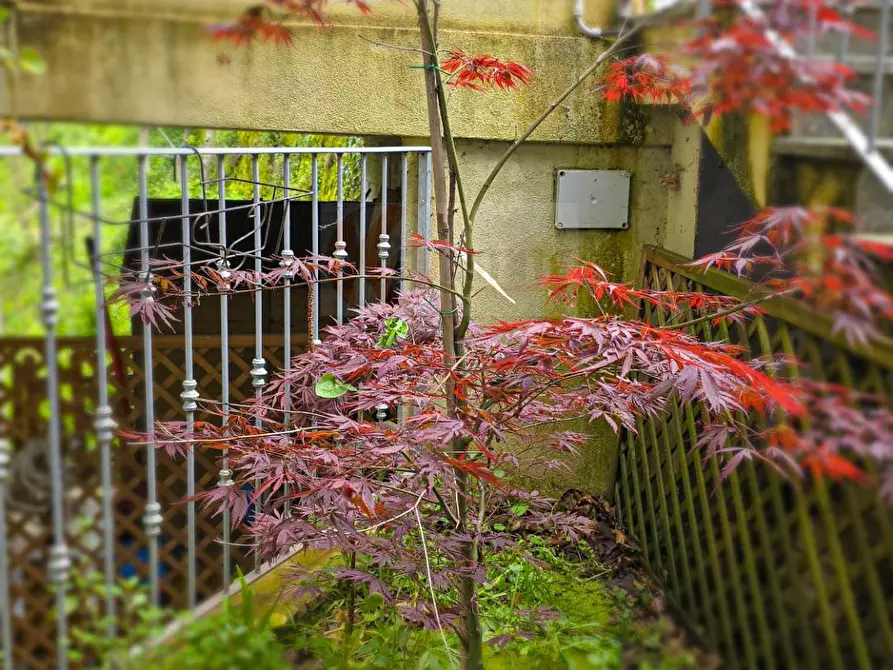 Immagine 79 di Casa indipendente in vendita  in ANTONIO MAXIA 20 a Aritzo