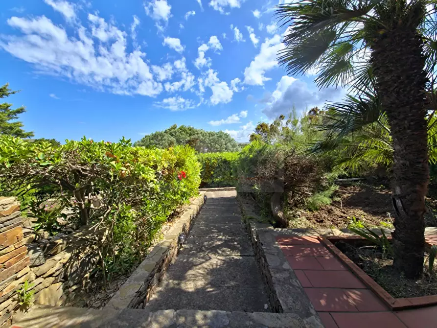 Immagine 26 di Appartamento in vendita  in Stintino Poggio Via Cala Sabina a Banari