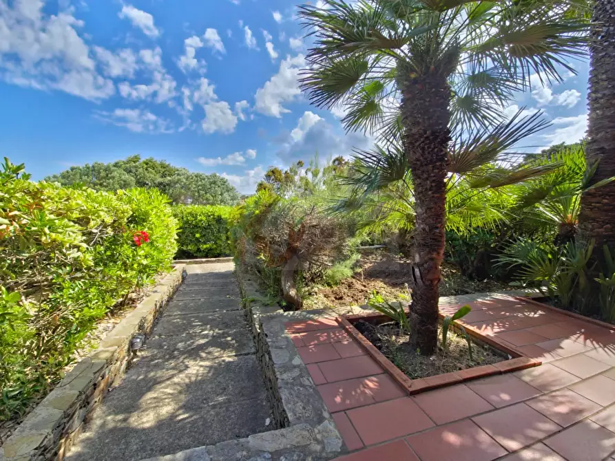 Immagine 27 di Appartamento in vendita  in Stintino Poggio Via Cala Sabina a Banari