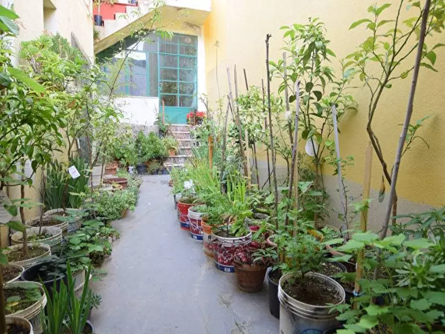 Immagine 44 di Casa indipendente in vendita  in VIA FERRACCIU 50 a Nuoro