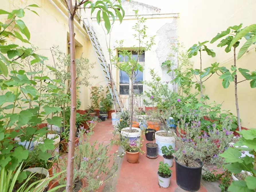 Immagine 32 di Casa indipendente in vendita  in VIA FERRACCIU 50 a Nuoro