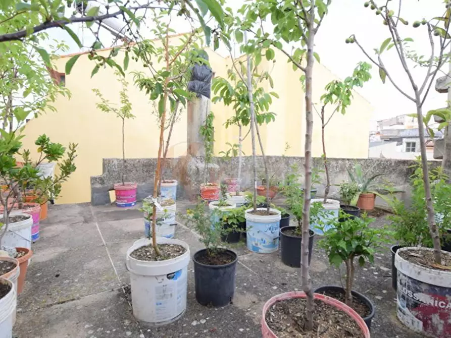 Immagine 38 di Casa indipendente in vendita  in VIA FERRACCIU 50 a Nuoro