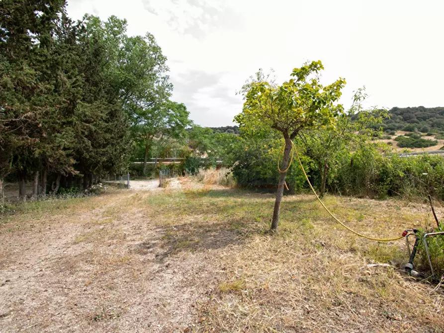 Immagine 17 di Casa indipendente in vendita  in Località Saccargia snc a Banari