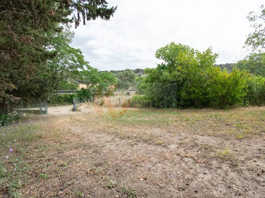 Immagine 18 di Casa indipendente in vendita  in Località Saccargia snc a Banari