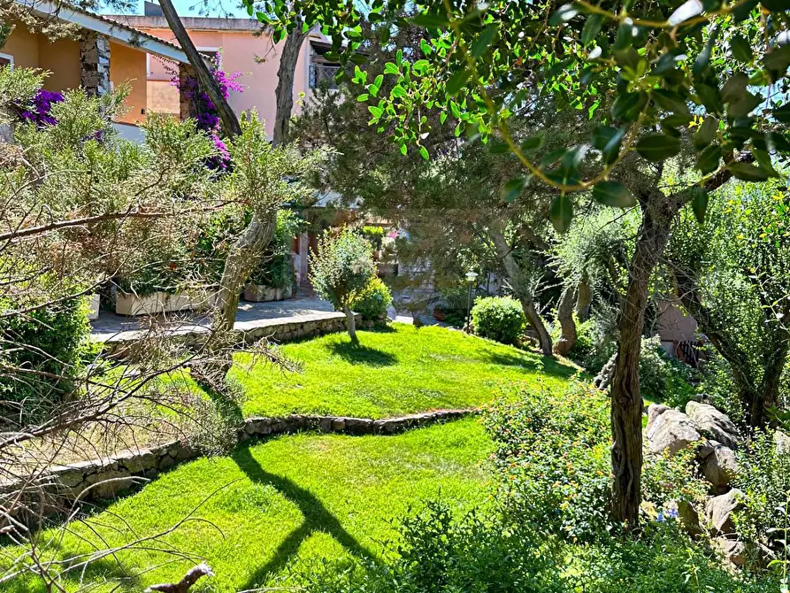 Immagine 13 di Appartamento in vendita  in Via Monte Ladu 118 a Olbia