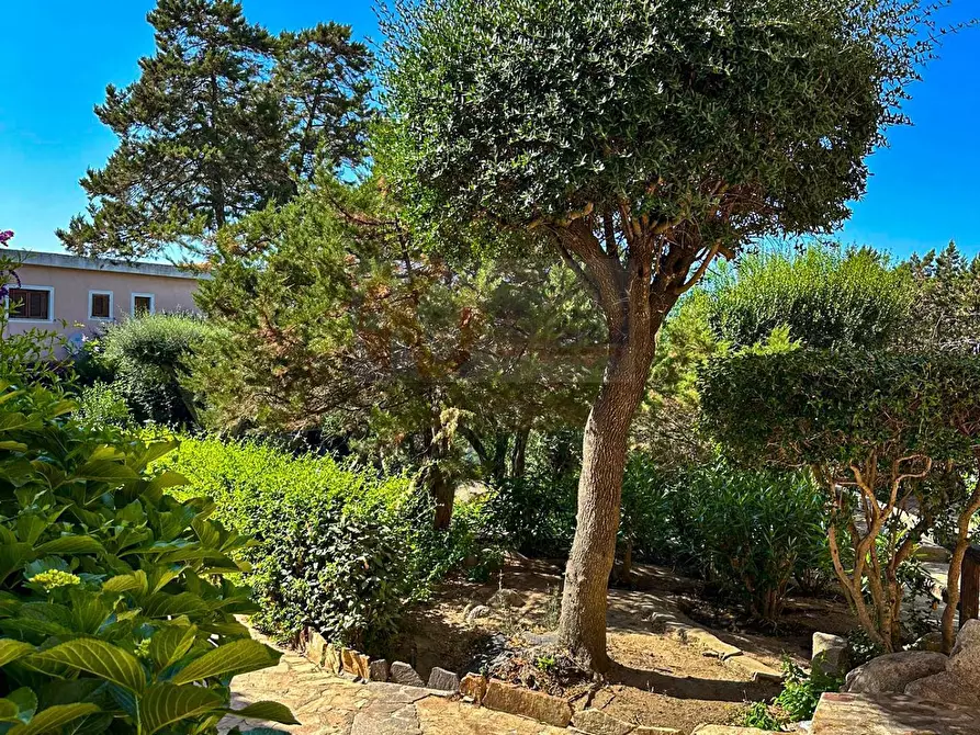 Immagine 14 di Appartamento in vendita  in Via Monte Ladu 118 a Olbia