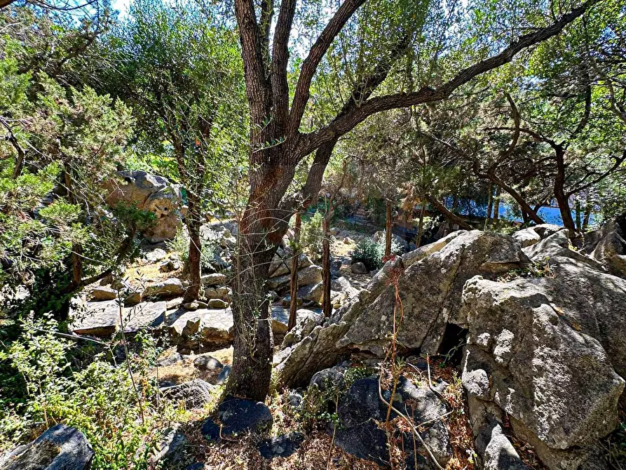 Immagine 16 di Appartamento in vendita  in Via Monte Ladu 118 a Olbia