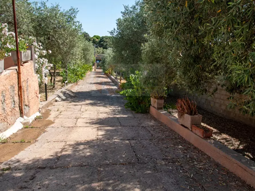 Immagine 35 di Villa in vendita  in zinziodda li buttangari a Sassari