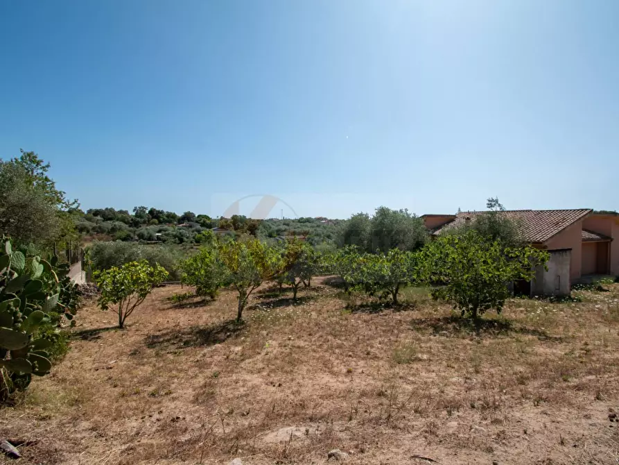Immagine 40 di Villa in vendita  in zinziodda li buttangari a Sassari