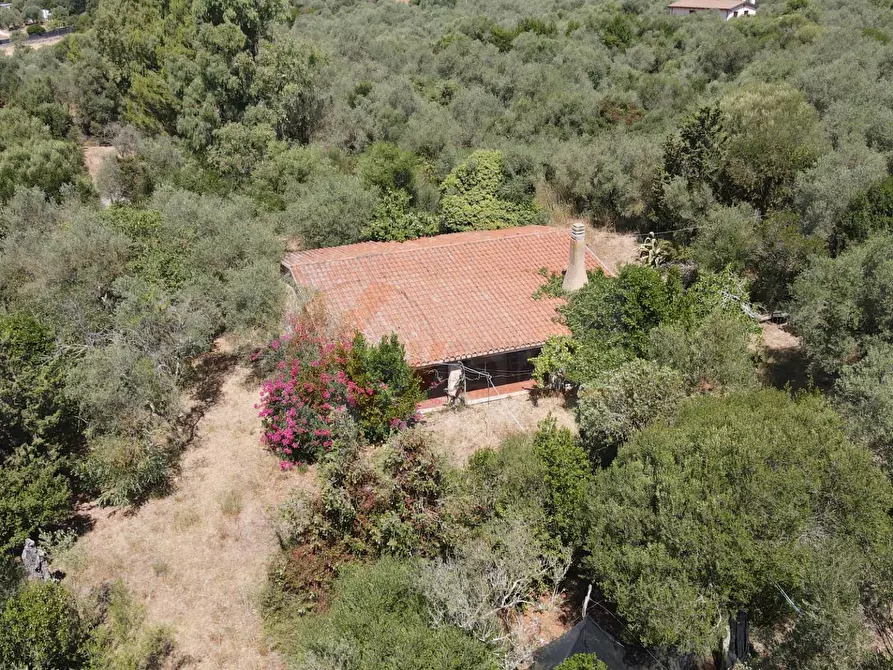 Immagine 55 di Villa in vendita  in STRADA VICINALE SANT'ANATOLIA 8 a Sassari