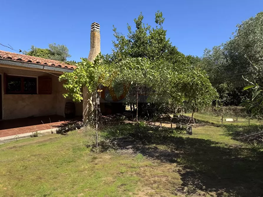 Immagine 45 di Villa in vendita  in STRADA VICINALE SANT'ANATOLIA 8 a Sassari