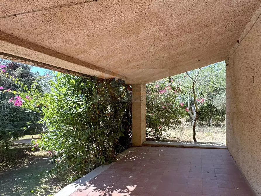 Immagine 54 di Villa in vendita  in STRADA VICINALE SANT'ANATOLIA 8 a Sassari