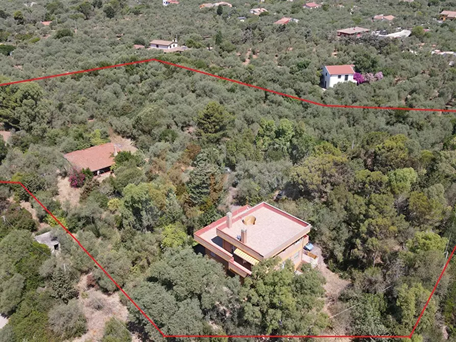 Immagine 59 di Villa in vendita  in STRADA VICINALE SANT'ANATOLIA 8 a Sassari