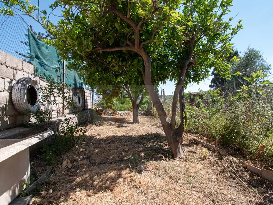 Immagine 3 di Appartamento in vendita  in via Maroncelli 5 a Castelsardo