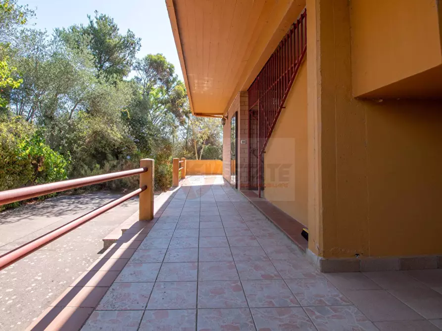 Immagine 36 di Villa in vendita  in STRADA VICINALE SANT'ANATOLIA 8 a Sassari