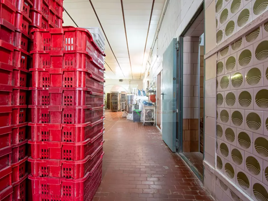 Immagine 7 di Attività commerciale in vendita  in via Roma 49 a Osilo