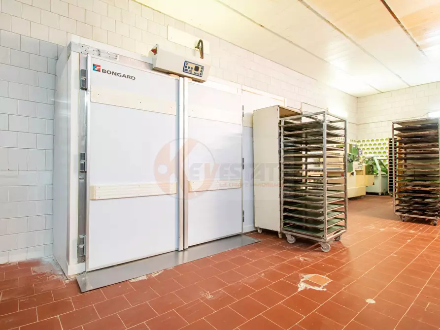 Immagine 16 di Attività commerciale in vendita  in via Roma 49 a Osilo