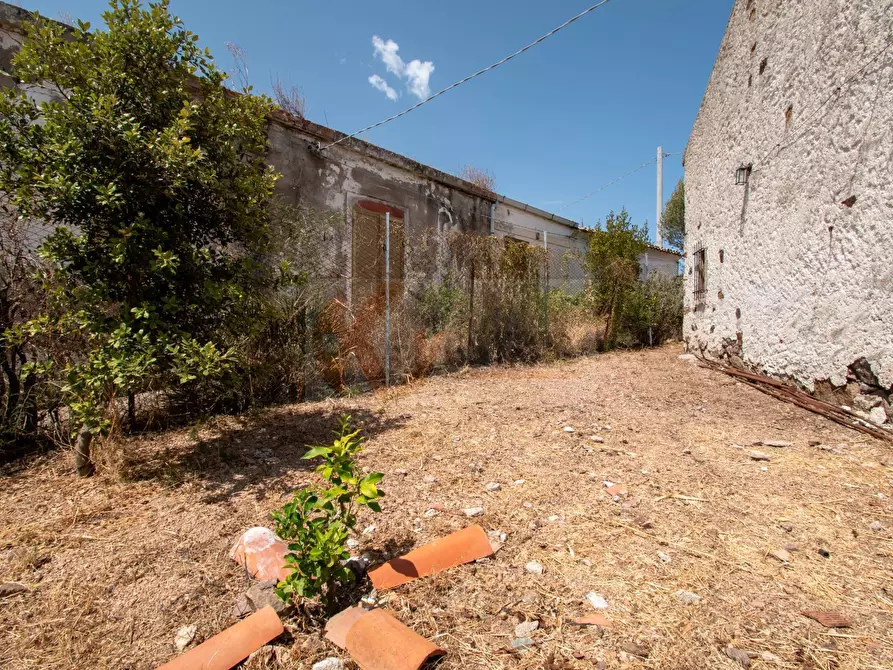 Immagine 33 di Casa indipendente in vendita  in strada vicinale crapileddu 10 a Badesi