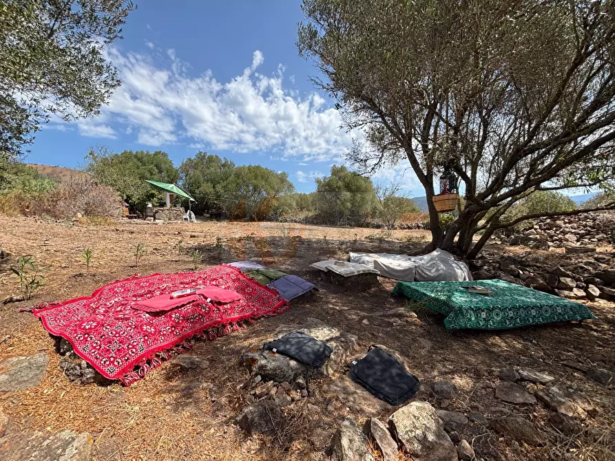 Immagine 34 di Casa indipendente in vendita  in strada vicinale crapileddu 10 a Badesi