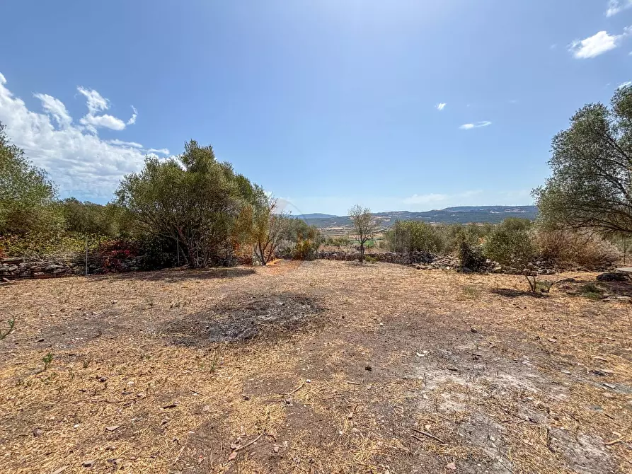 Immagine 38 di Casa indipendente in vendita  in strada vicinale crapileddu 10 a Badesi