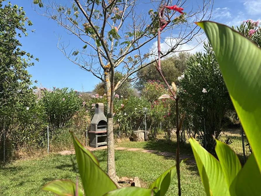 Immagine 19 di Appartamento in vendita  in Località La Capazza snc a Badesi