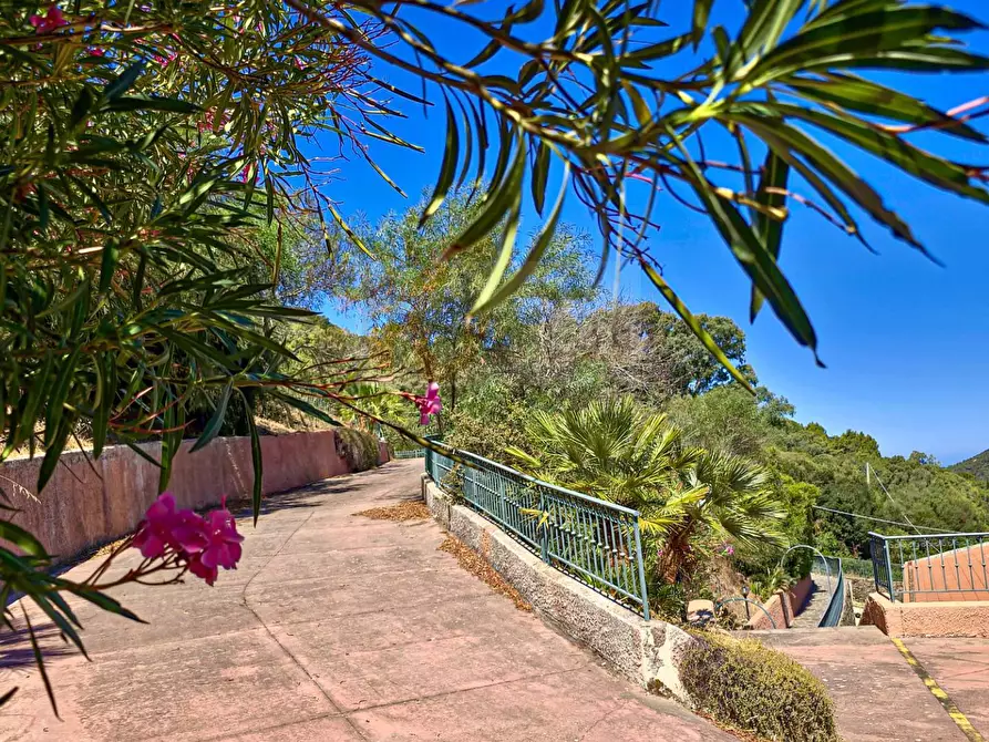 Immagine 23 di Appartamento in vendita  in Strada statale 134 di Castelsardo snc a Castelsardo