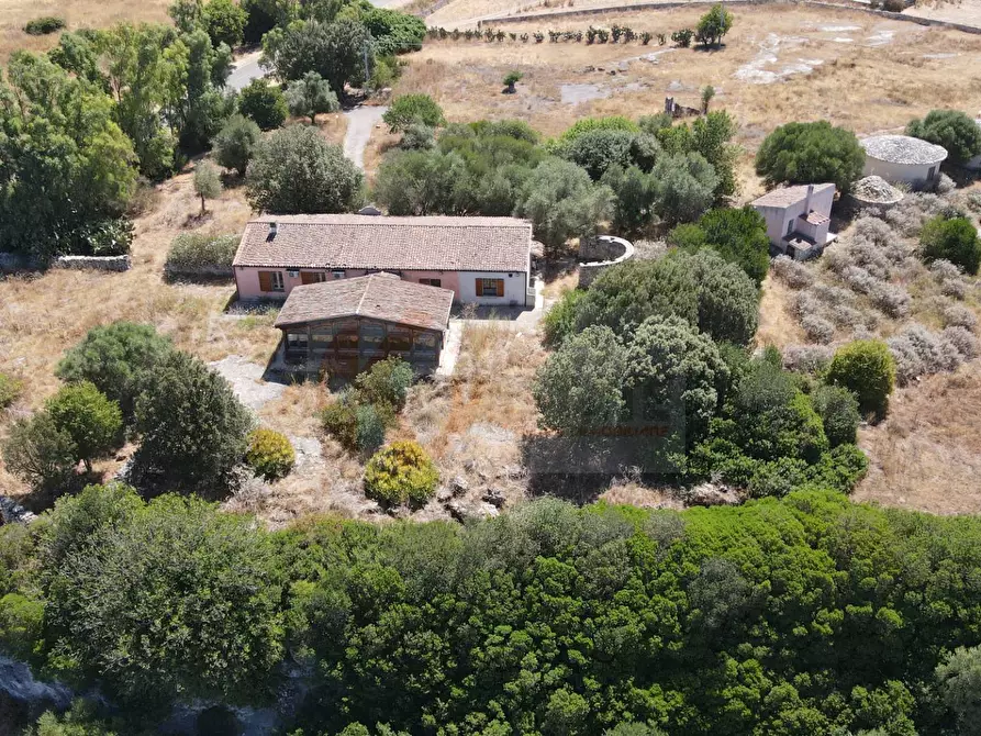 Immagine 21 di Locale commerciale in vendita  in SP 28 km 15 snc a Anela