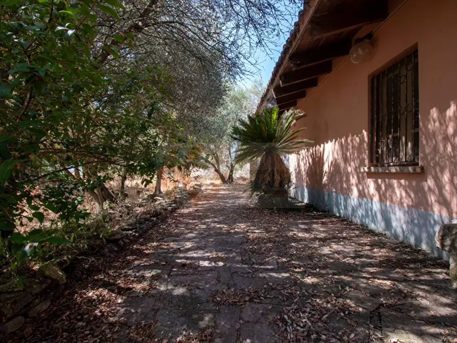 Immagine 26 di Locale commerciale in vendita  in SP 28 km 15 snc a Anela