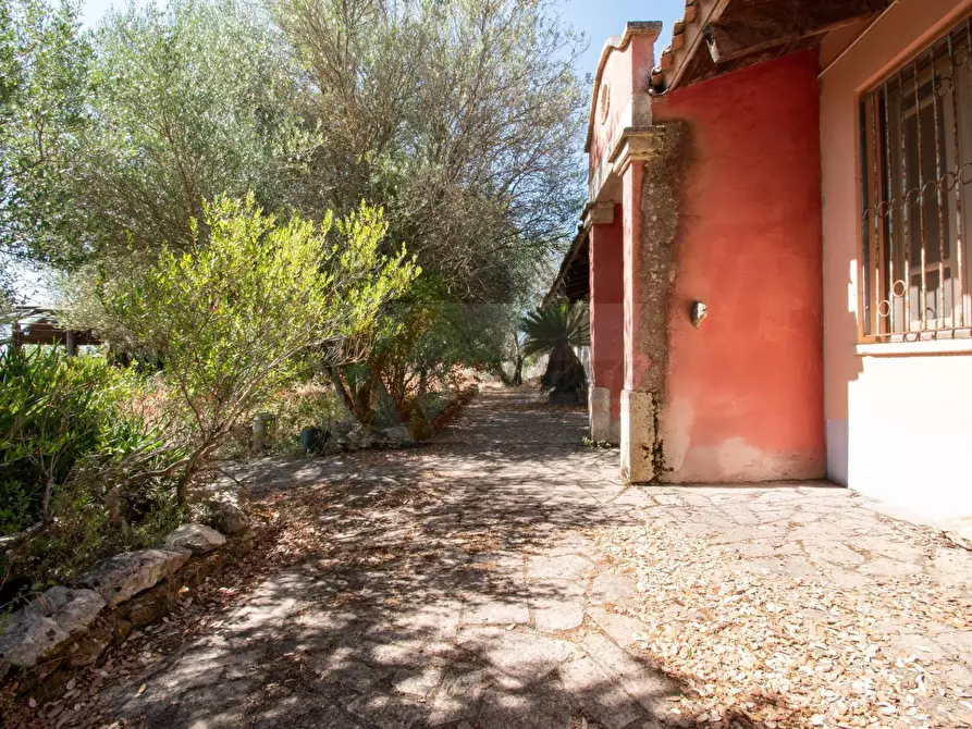 Immagine 27 di Locale commerciale in vendita  in SP 28 km 15 snc a Anela