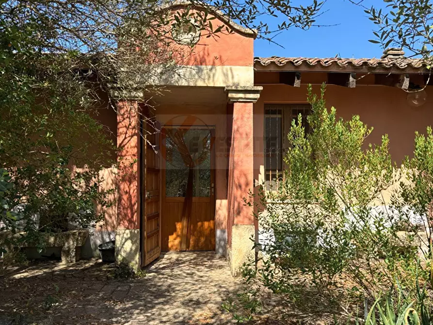 Immagine 28 di Locale commerciale in vendita  in SP 28 km 15 snc a Anela