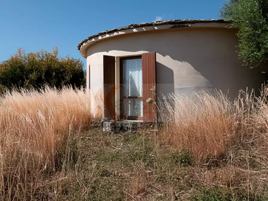 Immagine 30 di Locale commerciale in vendita  in SP 28 km 15 snc a Anela