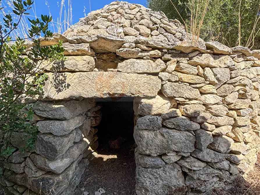 Immagine 37 di Locale commerciale in vendita  in SP 28 km 15 snc a Anela