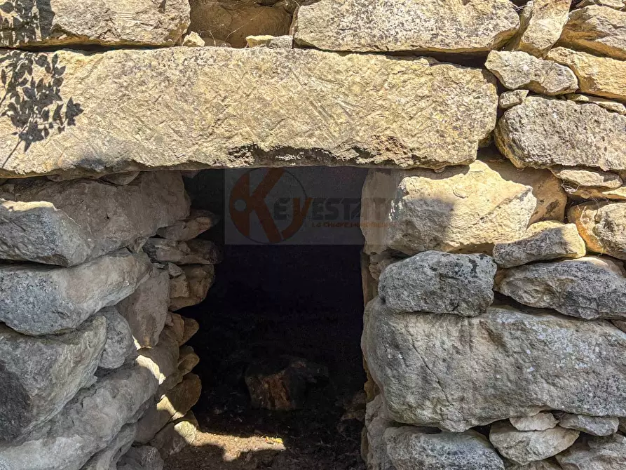 Immagine 38 di Locale commerciale in vendita  in SP 28 km 15 snc a Anela