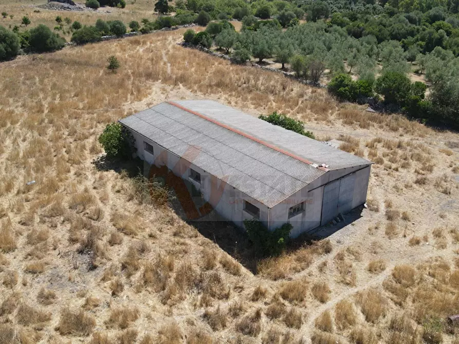 Immagine 39 di Locale commerciale in vendita  in SP 28 km 15 snc a Anela