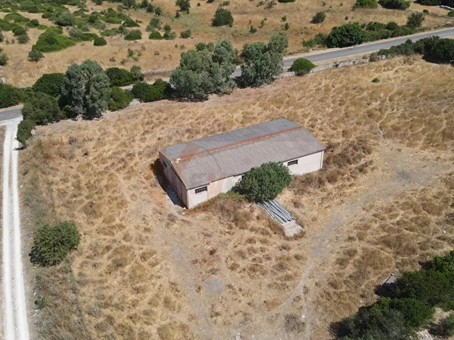 Immagine 42 di Locale commerciale in vendita  in SP 28 km 15 snc a Anela