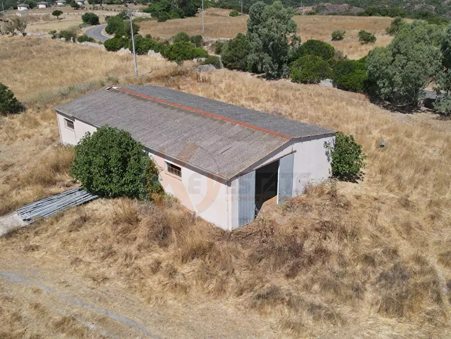 Immagine 43 di Locale commerciale in vendita  in SP 28 km 15 snc a Anela