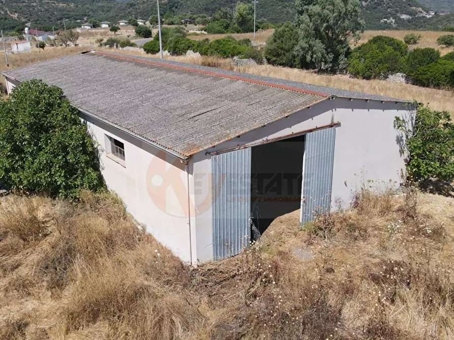 Immagine 44 di Locale commerciale in vendita  in SP 28 km 15 snc a Anela