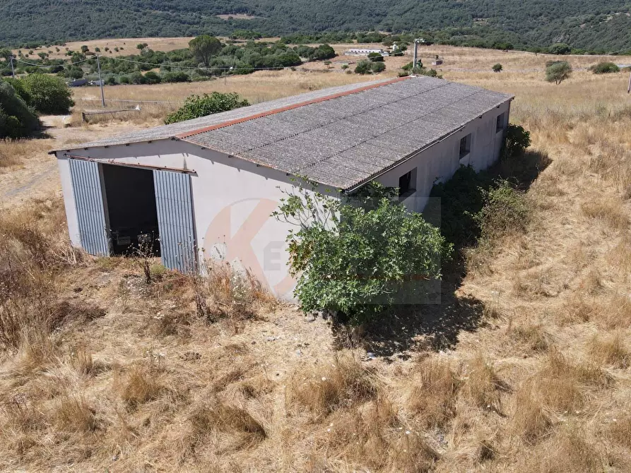 Immagine 45 di Locale commerciale in vendita  in SP 28 km 15 snc a Anela