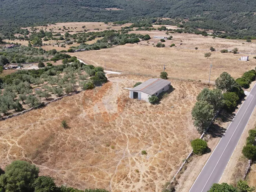 Immagine 46 di Locale commerciale in vendita  in SP 28 km 15 snc a Anela