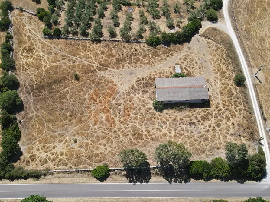 Immagine 47 di Locale commerciale in vendita  in SP 28 km 15 snc a Anela