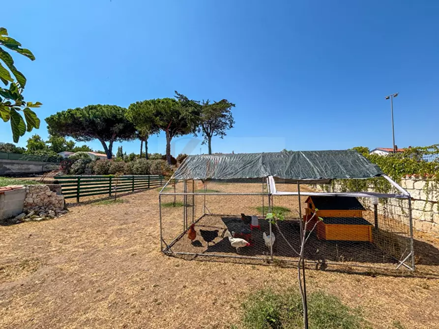 Immagine 40 di Villa in vendita  in S.da Vicinale Badde Fustiggiu,  Sorso SS 22 a Sorso