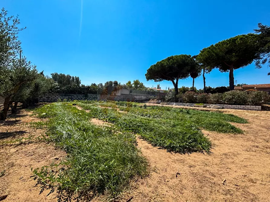 Immagine 42 di Villa in vendita  in S.da Vicinale Badde Fustiggiu,  Sorso SS 22 a Sorso