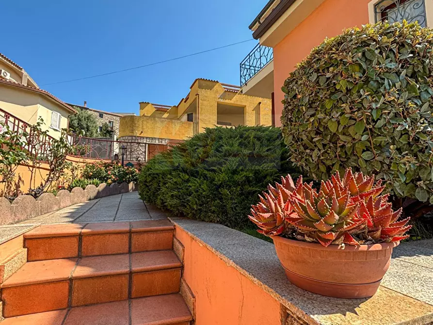 Immagine 9 di Villa in vendita  in Via Olbia 4 a Luras