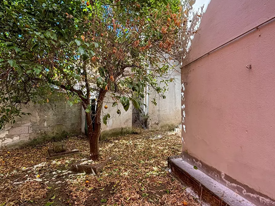 Immagine 28 di Casa indipendente in vendita  in via Satta 4 a Anela