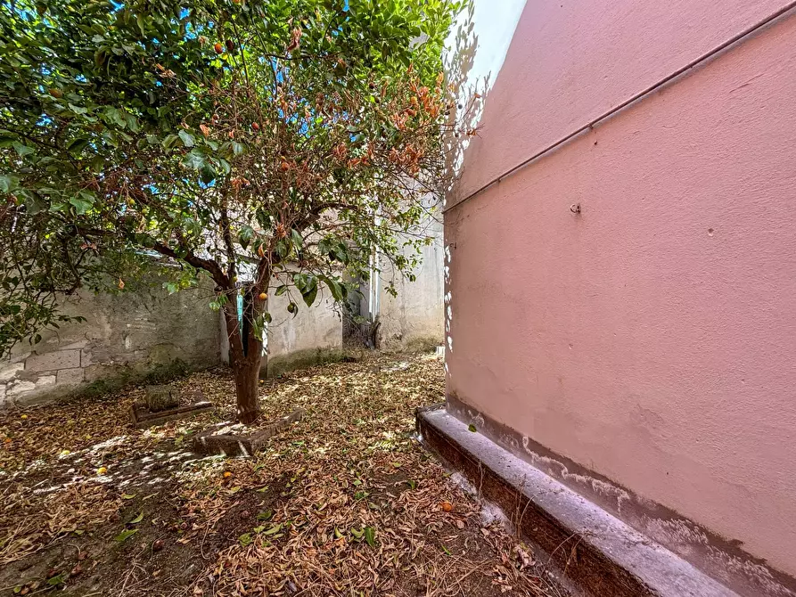 Immagine 29 di Casa indipendente in vendita  in via Satta 4 a Anela