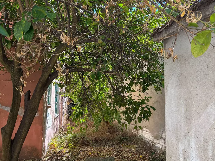 Immagine 30 di Casa indipendente in vendita  in via Satta 4 a Anela