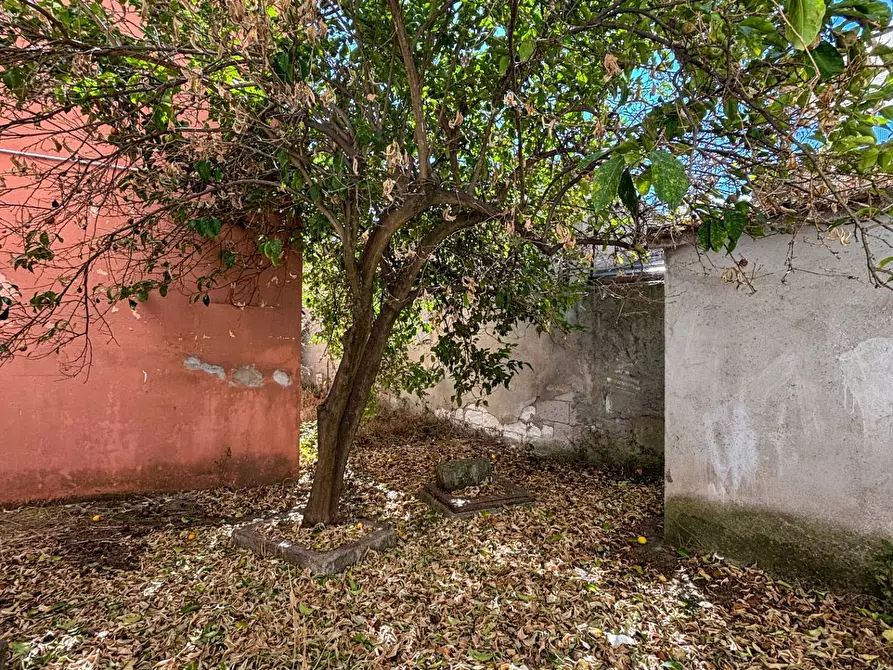 Immagine 31 di Casa indipendente in vendita  in via Satta 4 a Anela