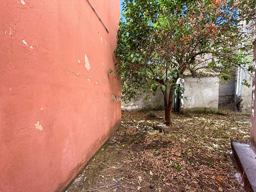 Immagine 32 di Casa indipendente in vendita  in via Satta 4 a Anela