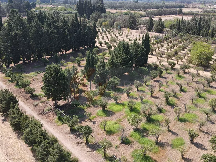 terreno agricolo in vendita a Monastir